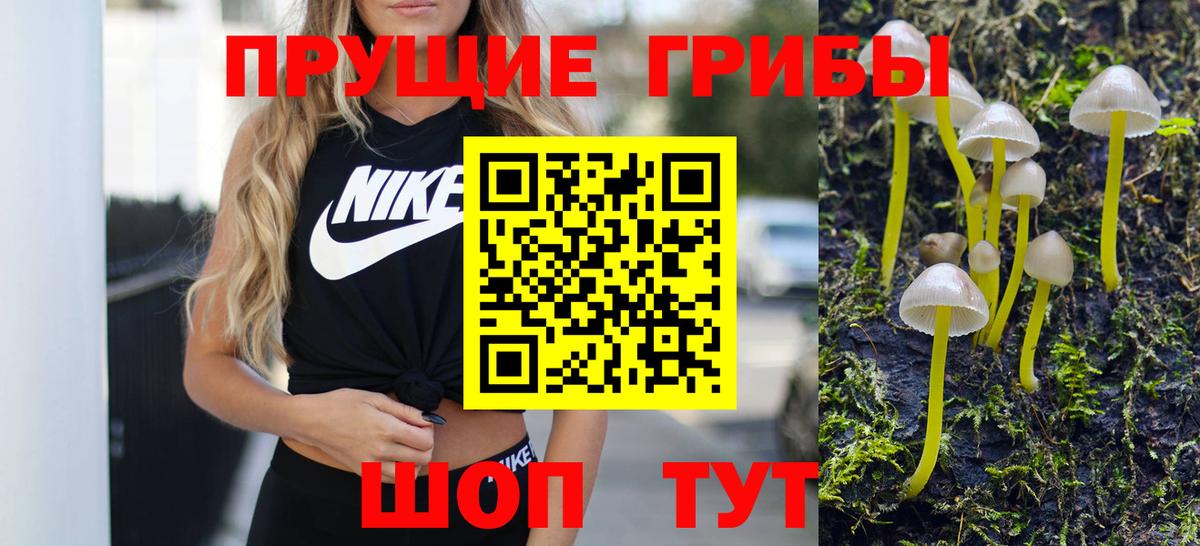 Нижнекамск  Псилоцибиновые грибы Magic Shrooms  Вход с VPN 